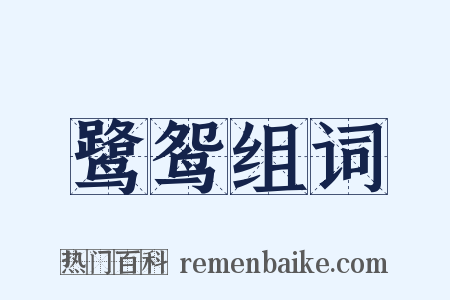 鹭鸳组词是什么意思的图片